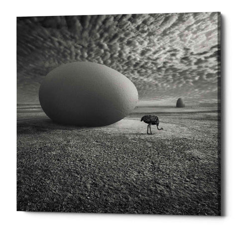 Image of 'EggO' by Dariusz Klimczak, Canvas Wall Art