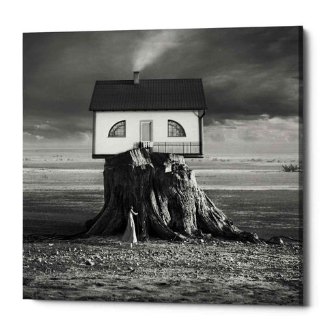 Image of 'House' by Dariusz Klimczak, Canvas Wall Art