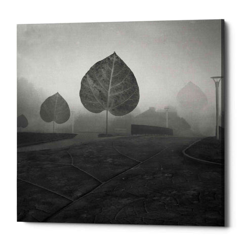 Image of 'Leave Alley' by Dariusz Klimczak, Canvas Wall Art
