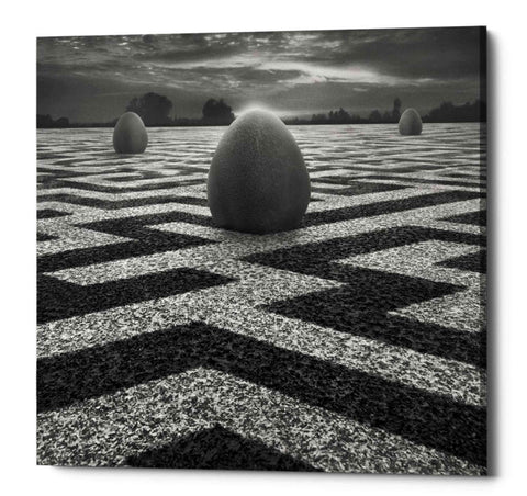 Image of 'Ptasi Labirynt' by Dariusz Klimczak, Canvas Wall Art