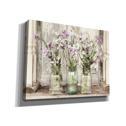 Image of 'Roadside Beauties' by Lori Deiter, Canvas Wall Art,Size B Landscape
