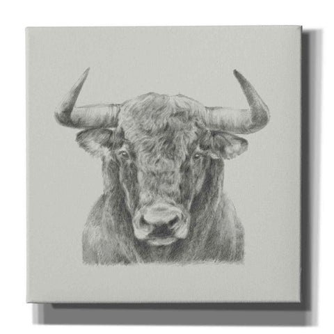 Image of 'Black and White Bull' by Ethan Harper, Canvas Wall Art,Size 1 Square