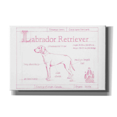 Image of 'Blueprint Labrador Retriever in Pink' by Ethan Harper Canvas Wall Art,Size A Landscape