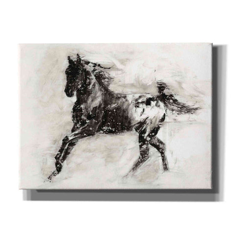 Image of 'Rustic Appaloosa II' by Ethan Harper Canvas Wall Art,Size B Landscape