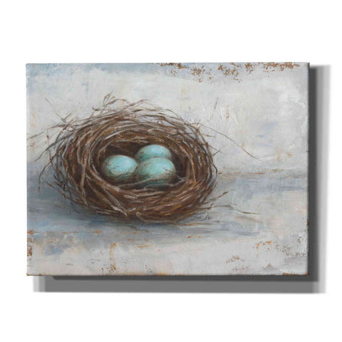 Image of 'Rustic Bird Nest I' by Ethan Harper Canvas Wall Art,Size C Landscape