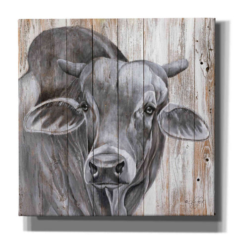 Image of 'Eyes Wide Open' by Diane Fifer, Giclee Canvas Wall Art