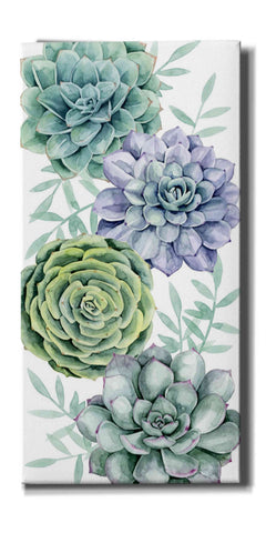 Image of 'Succulent Collection B' by Grace Popp Canvas Wall Art