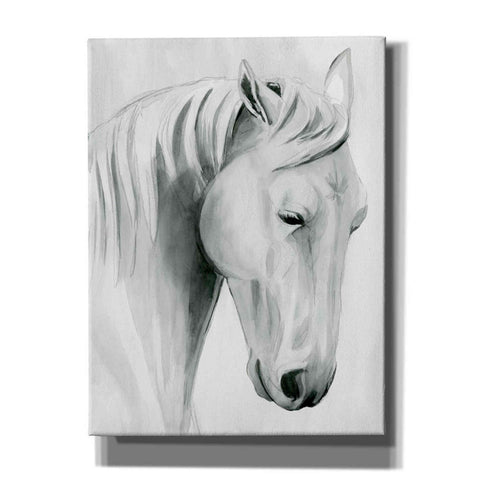Image of 'Horse Whisper II' by Grace Popp Canvas Wall Art