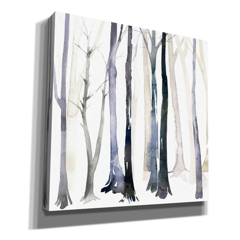 Image of 'In the Forest II' by Grace Popp Canvas Wall Art