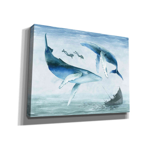 Image of 'Ocean Adventure Collection A' by Grace Popp Canvas Wall Art