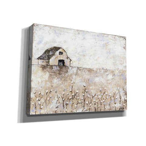 Image of 'Cotton Farms' by Britt Hallowell, Canvas Wall Art,Size B Landscape
