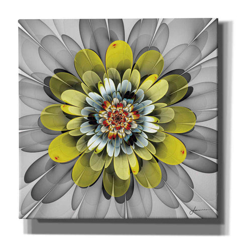 Image of 'Fractal Blooms IV' by James Burghardt Giclee Canvas Wall Art