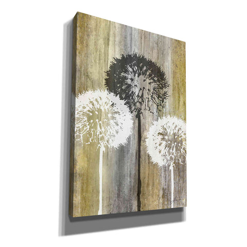 Image of 'Rustic Garden II' by James Burghardt Giclee Canvas Wall Art