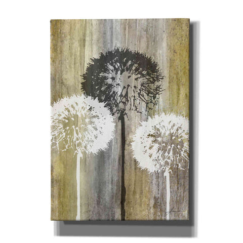 Image of 'Rustic Garden II' by James Burghardt Giclee Canvas Wall Art