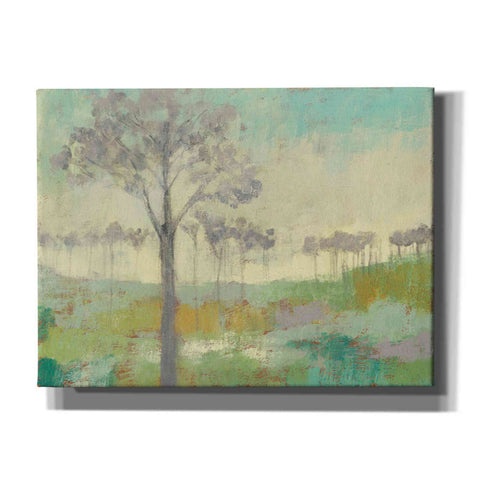 Image of 'Tree Stand II' by Jennifer Goldberger Giclee Canvas Wall Art