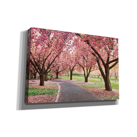 Image of 'Cherry Parade' by Katherine Gendreau, Giclee Canvas Wall Art