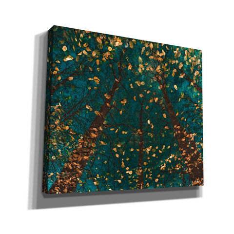 Image of 'Plato's Trees' by Lars van de Goor, Giclee Canvas Wall Art