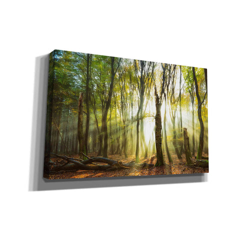 Image of 'Still Standing' by Lars van de Goor, Giclee Canvas Wall Art