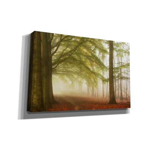 Image of 'Dreamwalkers' by Lars van de Goor, Giclee Canvas Wall Art