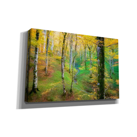 Image of 'Dream of Birches' by Lars van de Goor, Giclee Canvas Wall Art