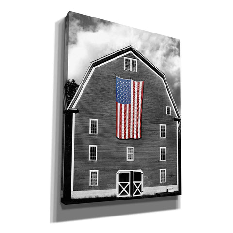 Image of 'Flags of Our Farmers XIX' by James McLoughlin Giclee Canvas Wall Art