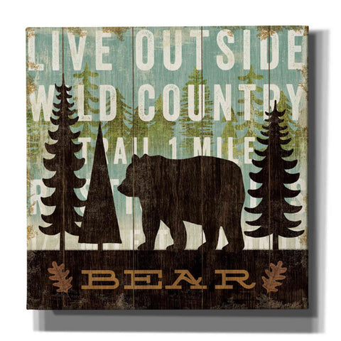 Image of 'Simple Living Bear' by Michael Mullan, Canvas Wall Art