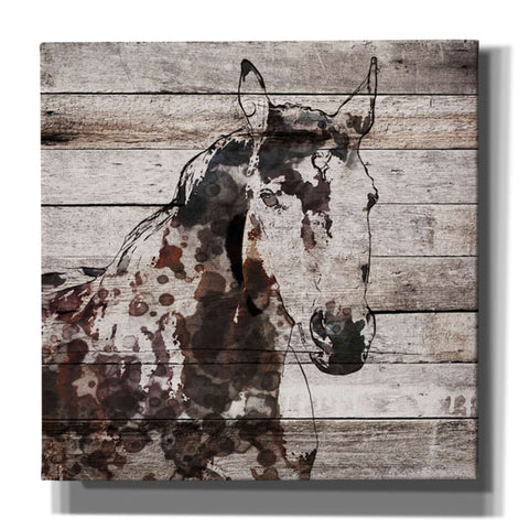 Image of 'Poly 2' by Irena Orlov, Canvas Wall Art