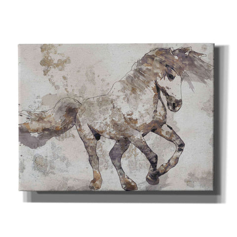 Image of 'Bebeau Horse 2' by Irena Orlov, Canvas Wall Art