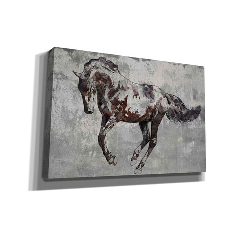 Image of 'Paso Fino 2' by Irena Orlov, Canvas Wall Art