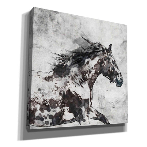Image of 'Bay Horse 4' by Irena Orlov, Canvas Wall Art