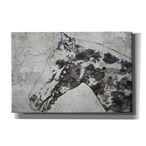 Image of 'Black Ghost Horse 2' by Irena Orlov, Canvas Wall Art