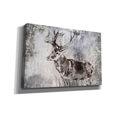 Image of 'Javan Rusa' by Irena Orlov, Canvas Wall Art