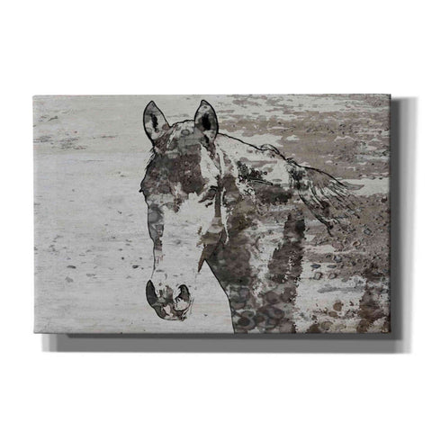 Image of 'Portrait of a Horse' by Irena Orlov, Canvas Wall Art