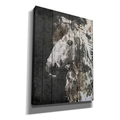 Image of 'SPIRIT EYE Horse' by Irena Orlov, Canvas Wall Art
