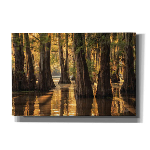 Image of 'Natural Beauty' by Martin Podt, Canvas Wall Art,Size A Landscape