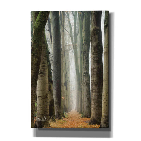 Image of 'Narrow Alley in the Netherlands' by Martin Podt, Canvas Wall Art,Size A Portrait