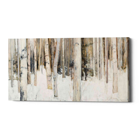 Image of 'Warm Winter Light III' by Julia Purinton, Canvas Wall Art
