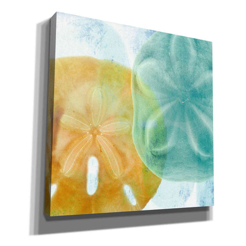 Image of 'Luminous Seashells' by Elena Ray Canvas Wall Art