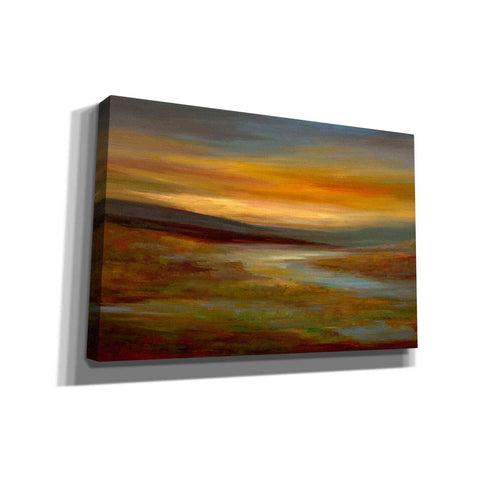 Image of 'Evening Sky' by Sheila Finch Giclee Canvas Wall Art