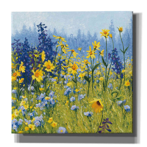 Image of 'Joyful in July III' by Shirley Novak, Canvas Wall Art