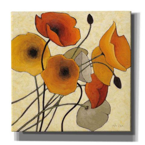Image of 'Pumpkin Poppies II' by Shirley Novak, Canvas Wall Art