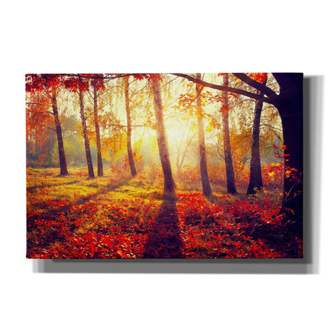 Image of 'Golden Afternoon' Canvas Wall Art