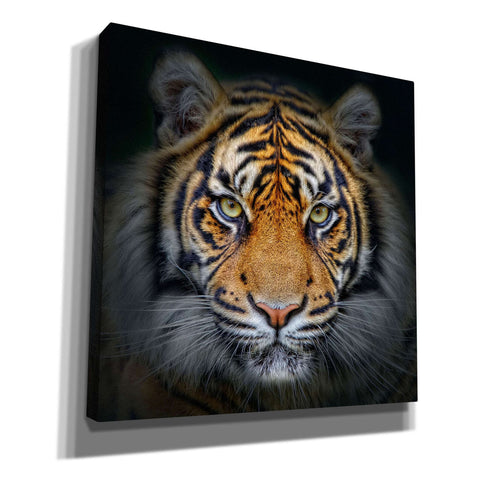 Image of 'Wild Side' Giclee Canvas Wall Art