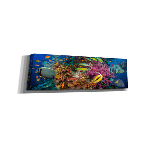 Image of 'Passage to Sea' Canvas Wall Art