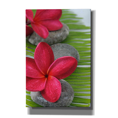 Image of 'Wabi Sabi II' Canvas Wall Art,Size A Portrait