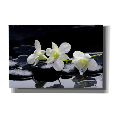 Image of 'The Light of Three' Canvas Wall Art