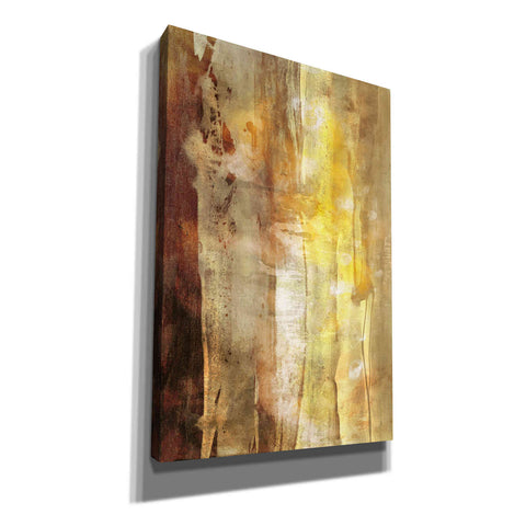 Image of 'Golden Glow I' by Sisa Jasper Canvas Wall Art