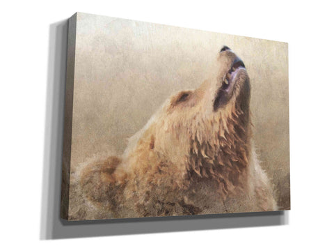 Image of 'Big Bear' by Karen Smith, Canvas Wall Art