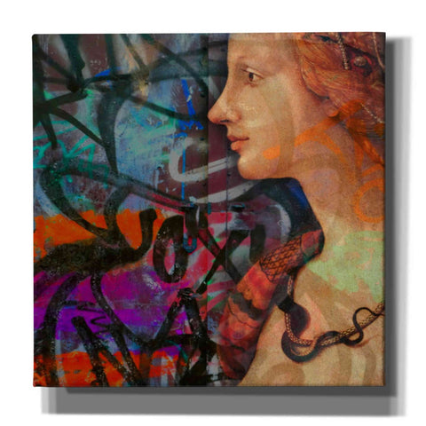 Image of 'Classic Graffiti' by Karen Smith, Canvas Wall Art