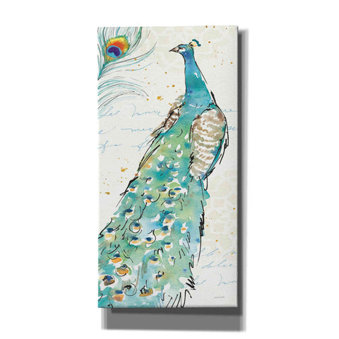 Image of 'Peacock Garden III' by Anne Tavoletti, Canvas Wall Art